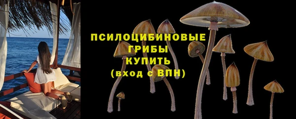 MDMA Premium VHQ Вяземский